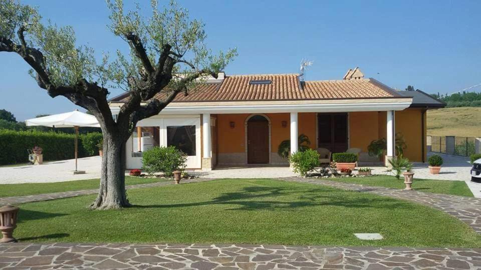 B&B Agrifoglio SantʼElpidio a Mare Kültér fotó